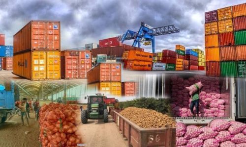Top-African-countries-driving-global-exports-in-key-agricultural-products